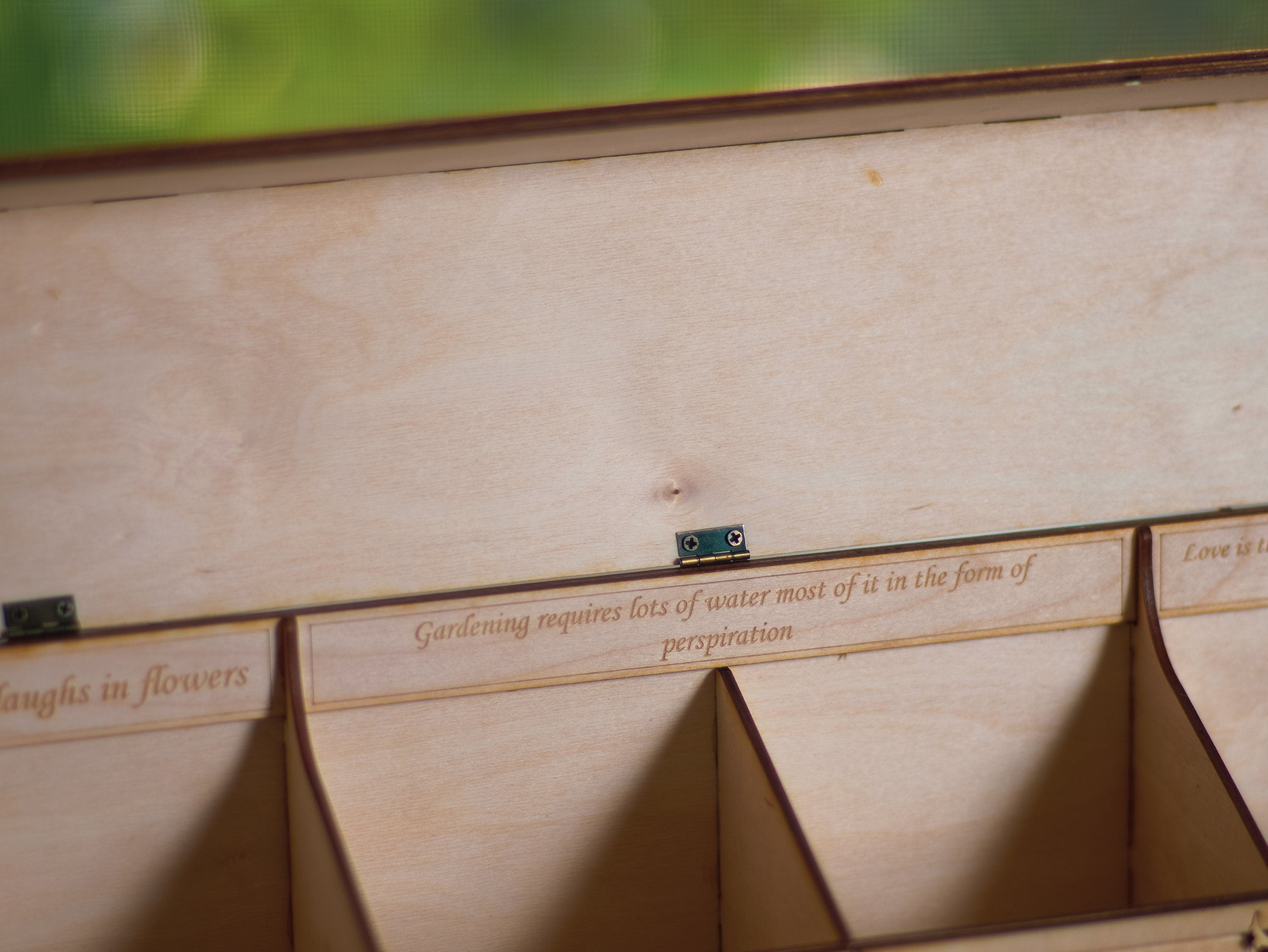 Engraved Wooden Seed Storage Box | Personalized Garden Seed Organizer with Wall Mount | 4 Compartments, Custom Labels