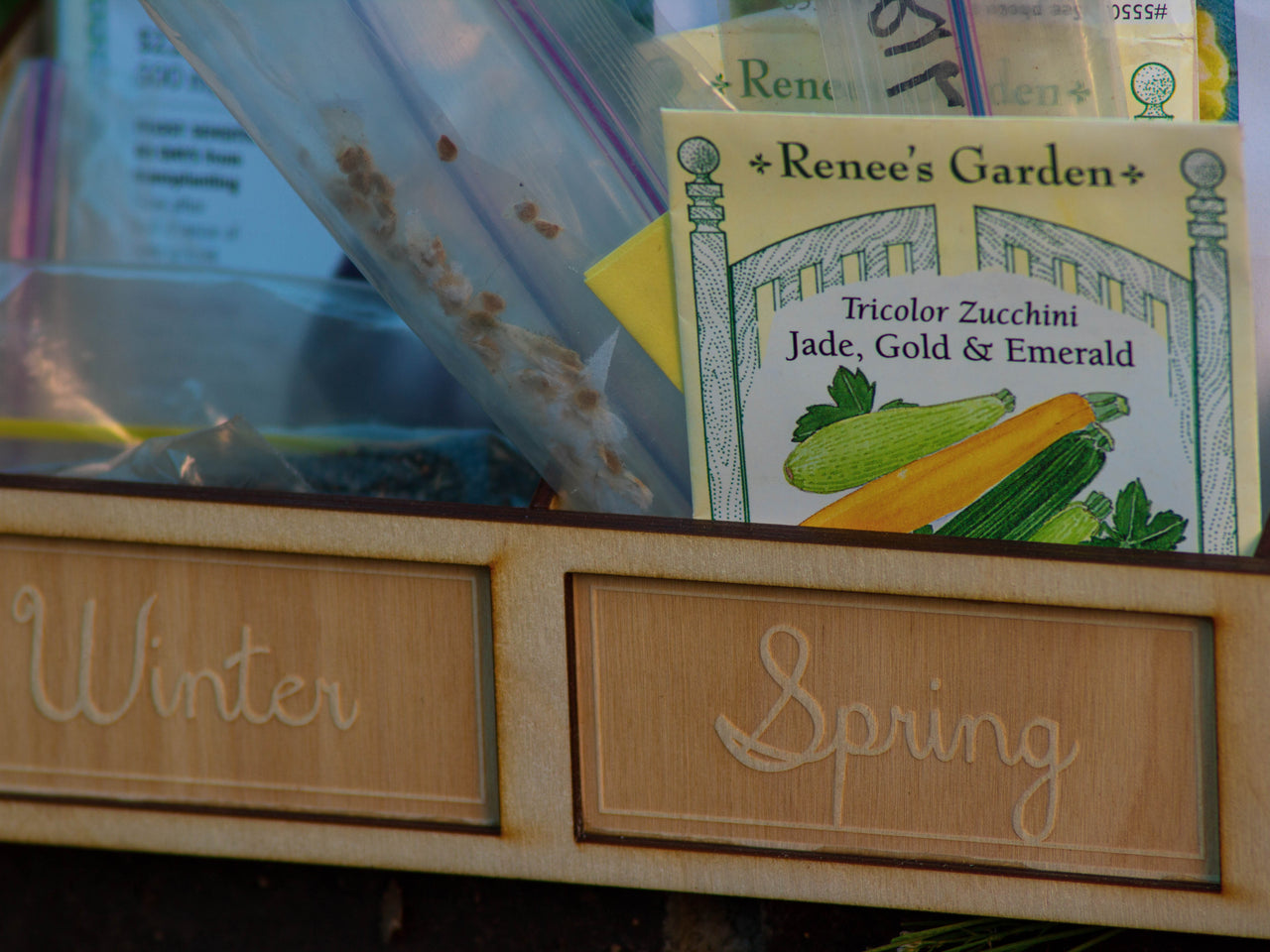 Garden Seed Organizer Box